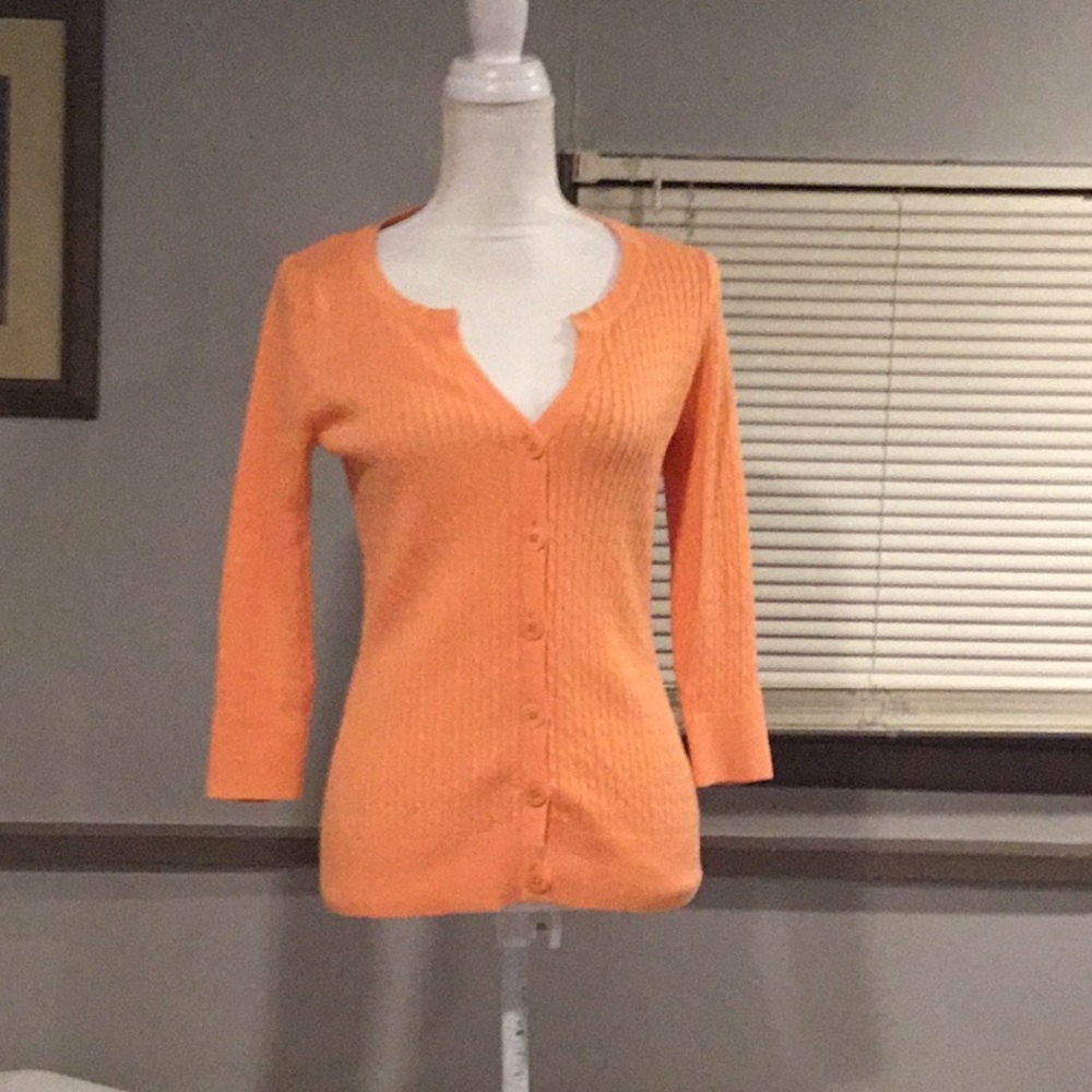 Jeanne Pierre Sweater, worn 2X